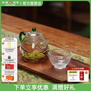 天福彼物新款玻璃泡茶壶 高硼硅玻璃茶壶单壶小茶壶泡茶家用茶具