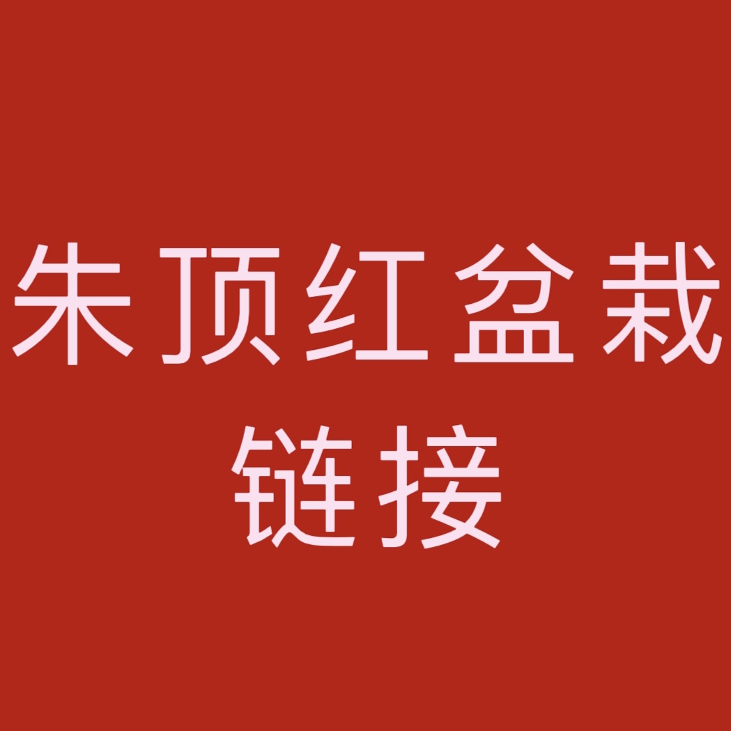 朱顶红盆栽直播间一物一拍