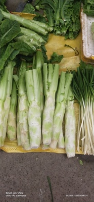 双十一特价四川棒棒四川菜菜头儿超大重大重庆蔬菜煮汤煎炒冬季秧