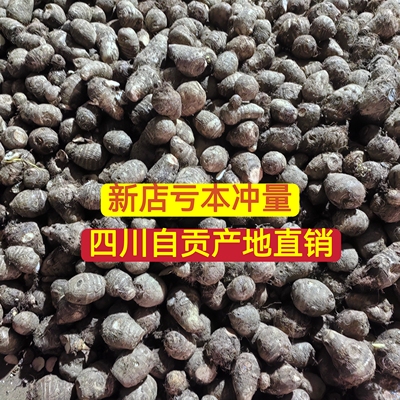 四川新鲜牛奶小芋头香芋现挖毛芋头芋艿当季农家芋仔应季蔬菜批发