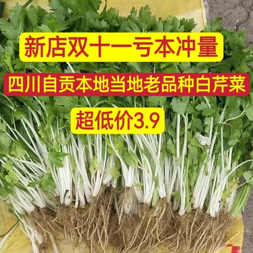 四川白芹菜新鲜白杆芹菜本地小香芹露天现摘现发农家自种蔬菜批发