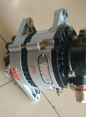 销汽车农用车纯铜发电机组 12v24v伏带真空助力泵无刷发电机 包邮