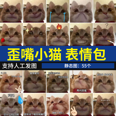 歪嘴小猫表情包 抖音热门猫咪沙雕可爱聊天斗图表情图系列