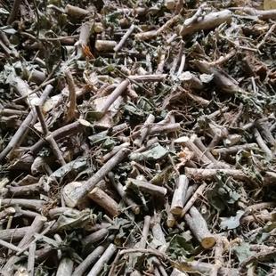 臭常山臭羊山贵州中药材 臭山羊新货干品250克大山羊骚牯羊和常山