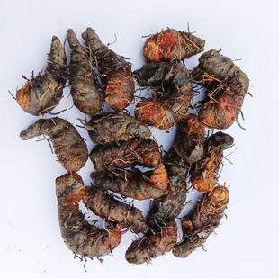 草河车深山药材拳参紫参草血竭虾参红蚤休化骨莲500g整个新鲜