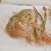 徐长青水洗无杂质徐长卿中药材了刁竹寮刁竹辽刁竹 500克