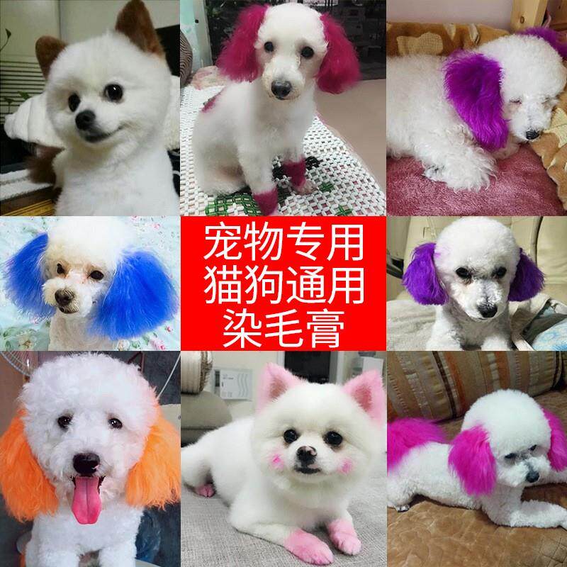 宠物染毛剂染毛膏狗狗专用染发剂持久性贵宾犬比熊去泪痕美毛粉