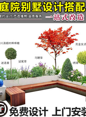 长沙花镜亮晶女贞庭院造景上门