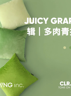 LIVING inc.青提 春夏清新绿色天鹅绒抱枕沙发客厅靠垫卧室靠枕套