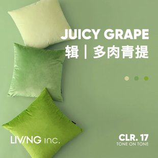 LIVING 春夏清新绿色天鹅绒抱枕沙发客厅靠垫卧室靠枕套 inc.青提