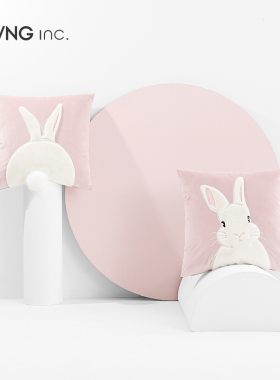 LIVING inc.白兔 兔子毛绒绣花抱枕沙发客厅靠枕ins靠垫粉色少女