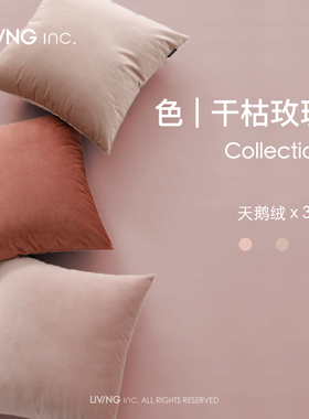 LIVING inc豆沙粉天鹅绒 沙发抱枕ins风沙发靠垫公主靠枕少女心床