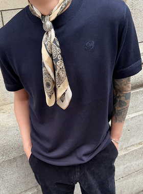 意大利面料 BC26春夏新款老钱风Thebor刺绣桑蚕丝棉针织短袖T恤