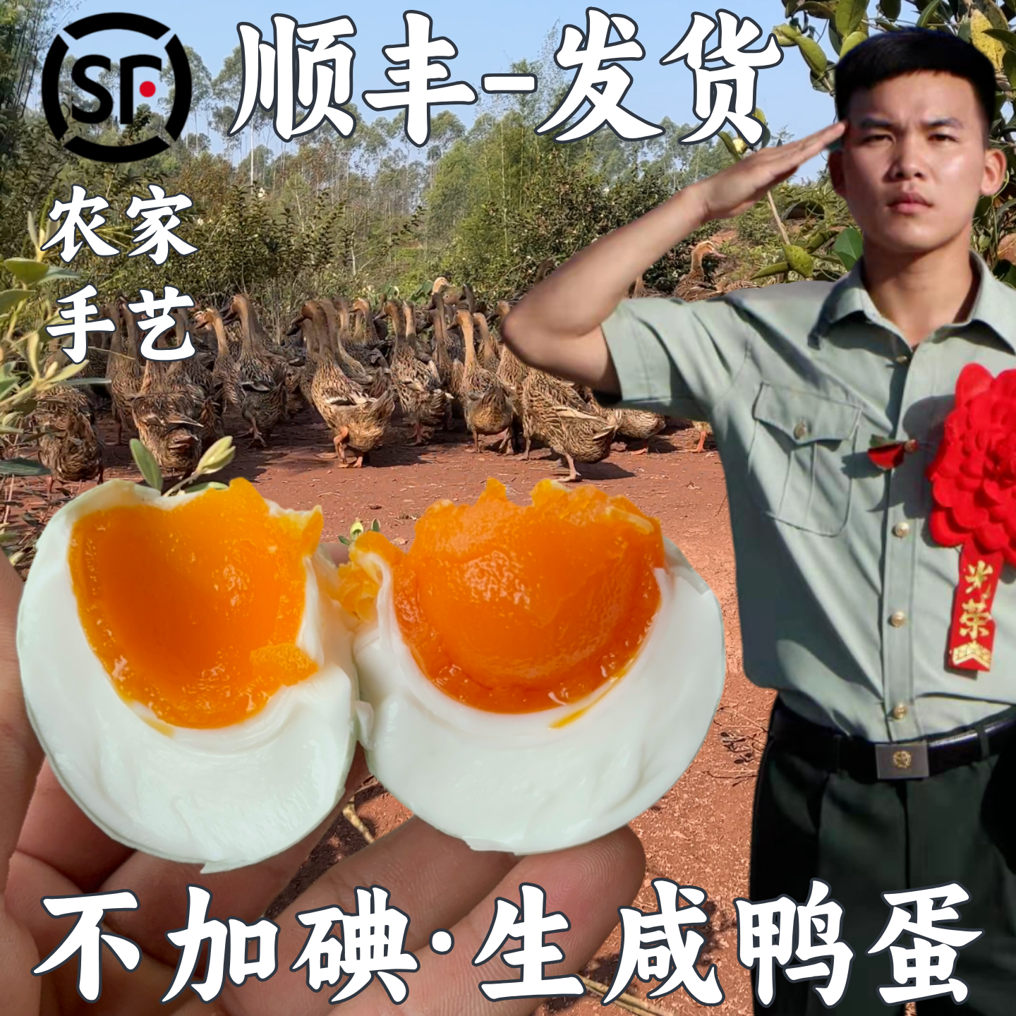 兵哥双黄鸭蛋生咸鸭蛋低盐蛋不咸