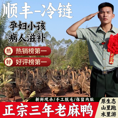 农家三年老麻鸭现杀顺丰冷链