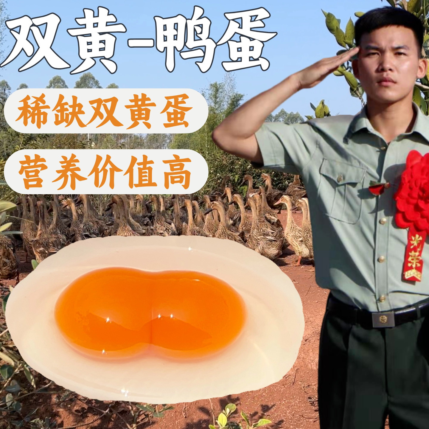 兵哥新鲜农家散养双黄鸭蛋滋补