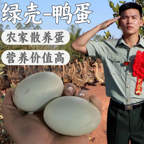 兵哥鸭蛋新鲜生鸭蛋绿壳农家散养