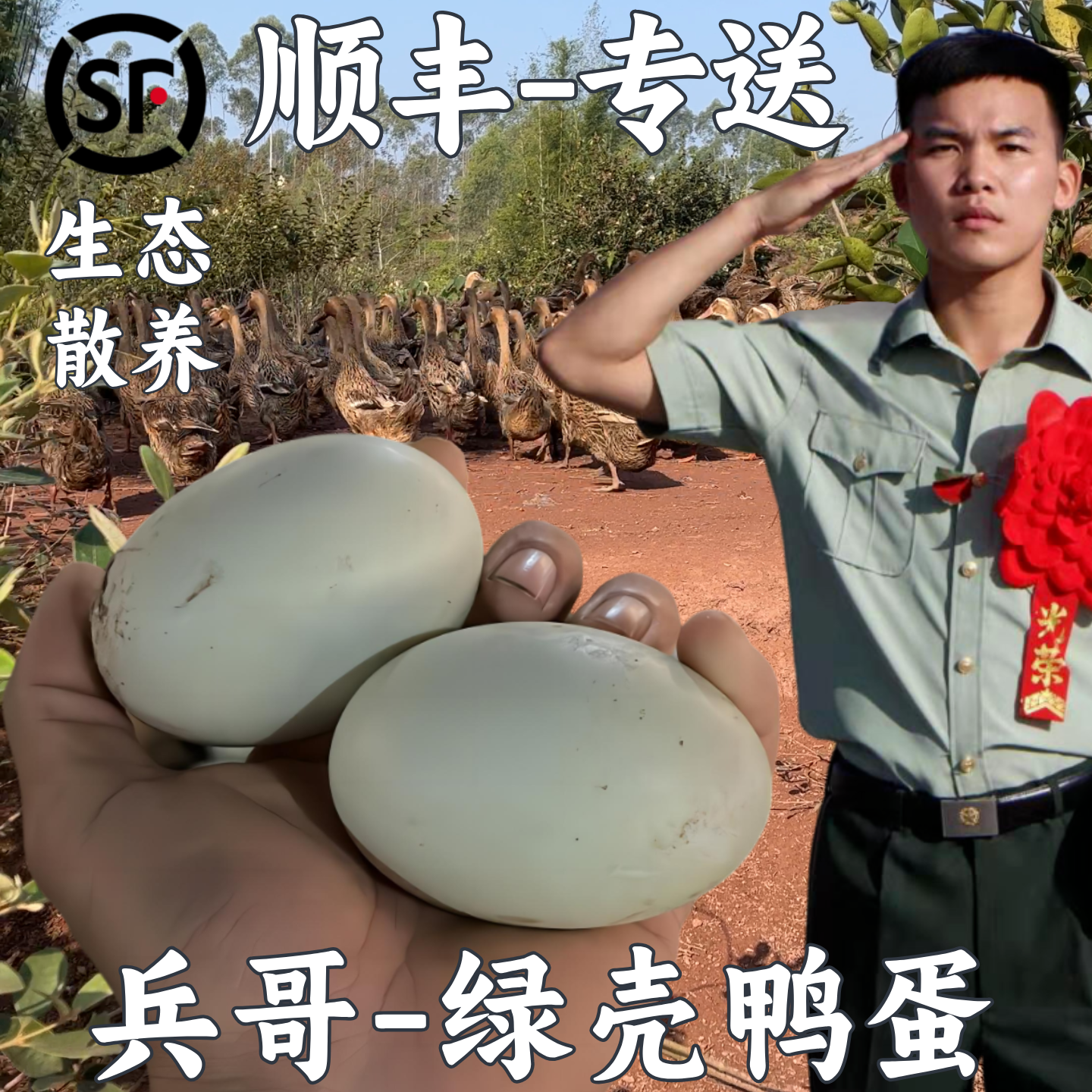 兵哥散养70克绿壳鸭蛋整箱发货