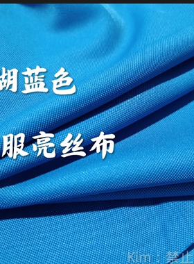 湖蓝色制衣服亮丝布料
