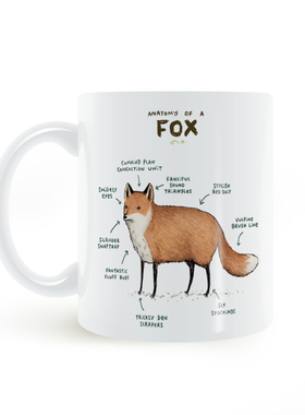 动物解析狐狸解剖学 Anatomy Of A Fox马克杯陶瓷白色杯子