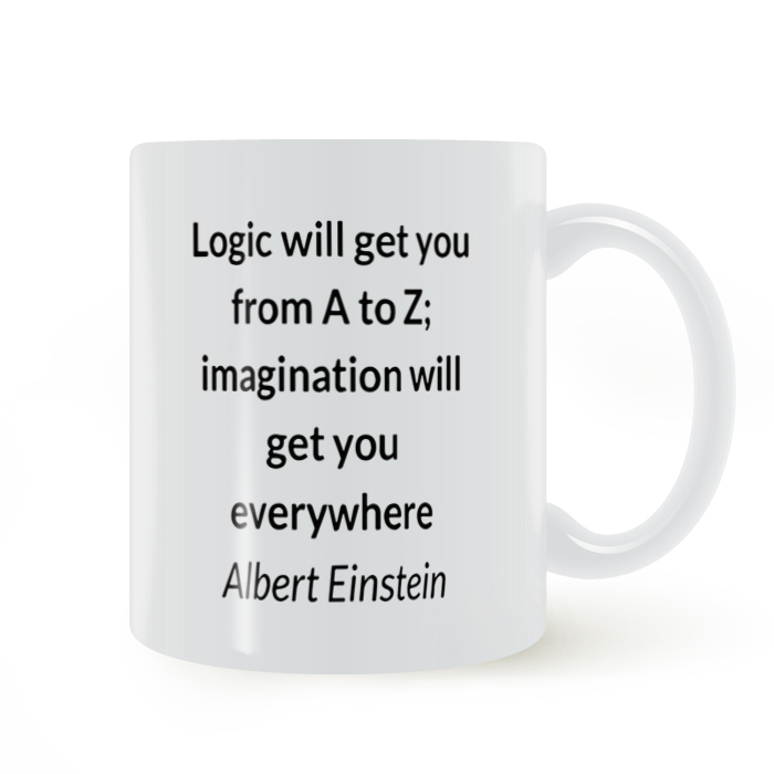 Logic and Imagination mug 逻辑与想象力大学物理学生老师马克杯
