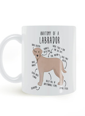Anatomy of a Labrador 拉布拉多犬的解剖 马克杯陶瓷水杯