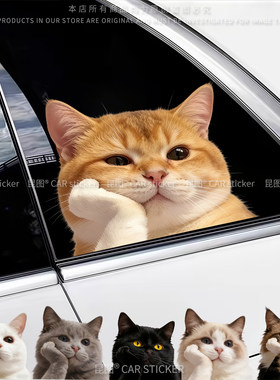 猫咪搞笑表情汽车贴纸防水防晒