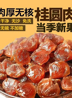 福建莆田精品老树桂圆肉500克