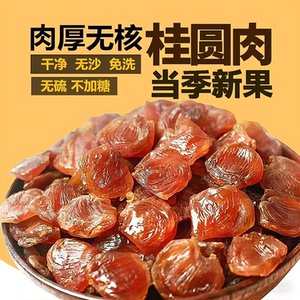 福建莆田精品老树桂圆肉500克