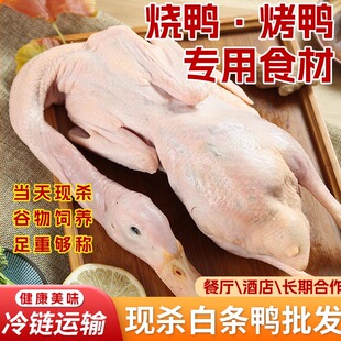 北京烤鸭烧鸭专用食材新鲜现杀冰鲜冷冻发货整只白条鸭光鸭卤水鸭