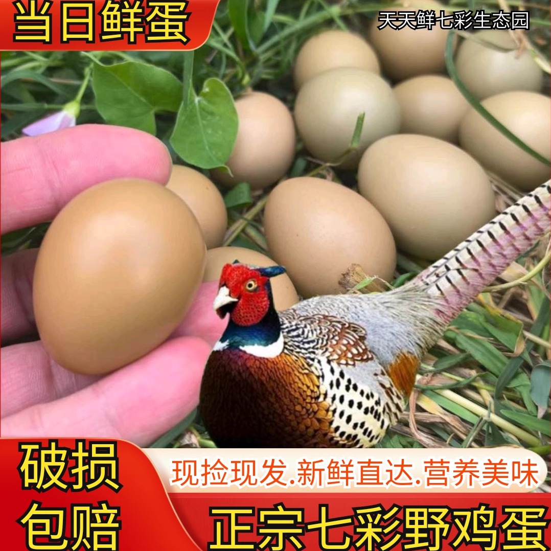 正宗七彩山鸡蛋60枚新鲜 宝宝辅食 农家杂粮天然散养土鸡蛋野鸡蛋