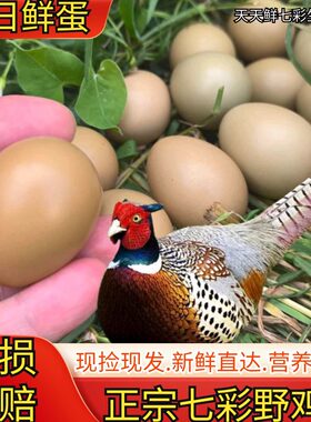 正宗七彩山鸡蛋60枚新鲜 宝宝辅食 农家杂粮天然散养土鸡蛋野鸡蛋