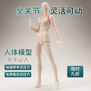 全关节超可动figma素体美术人体模型玩具日本人偶绘画肌肉人