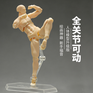 全关节可动figma素体美术人体模型1/12人偶绘画肌肉shf素体