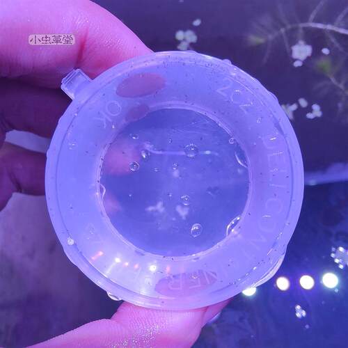 爆款黄花狸藻小虫草堂南方丝叶水生捕蚊子幼虫水蚤食虫植物水培食