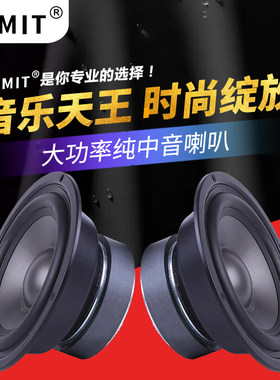 音美特全封闭纯中音喇叭4-6寸