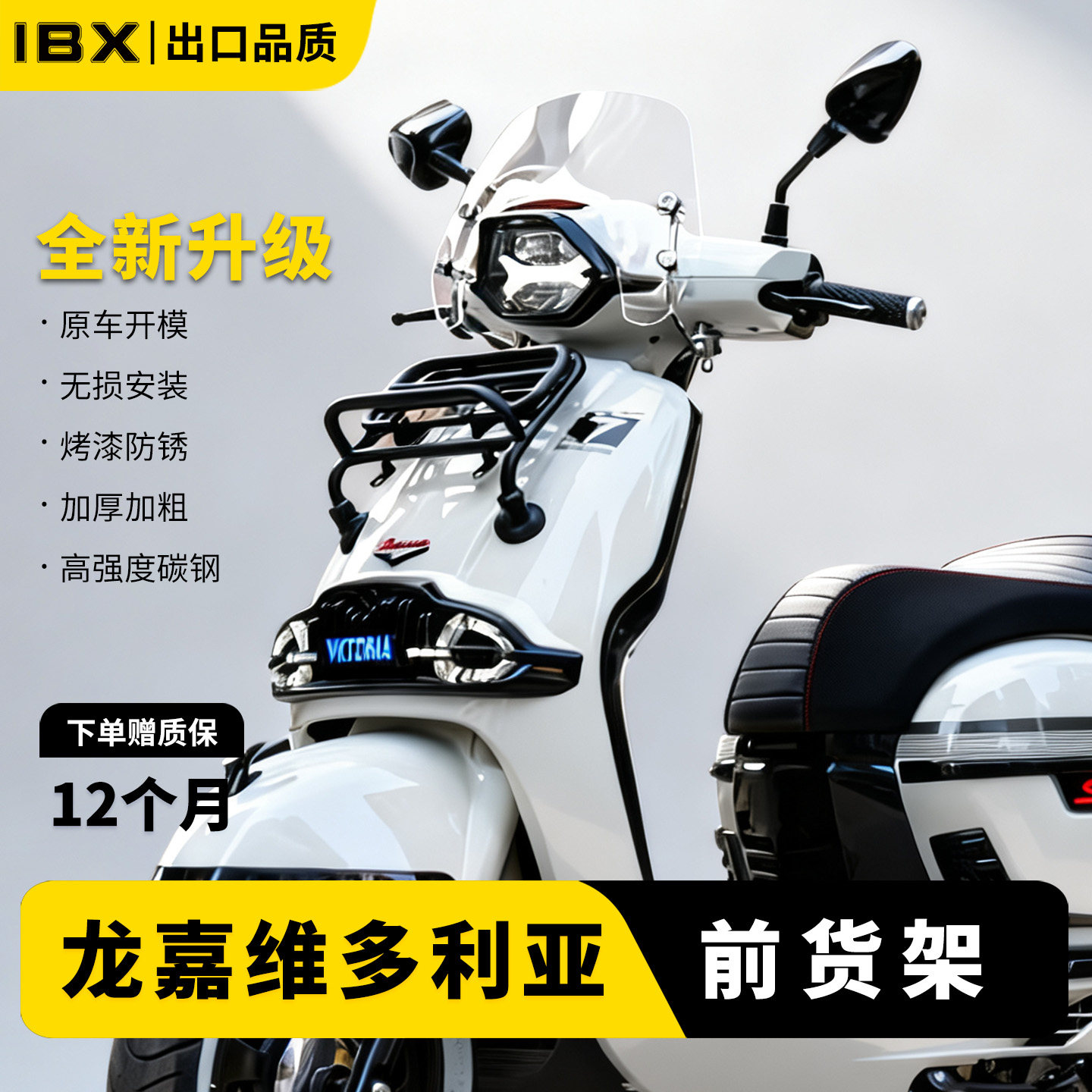 适用龙嘉维多利亚sixties300/150/250前货架摩托车复古货架行李架