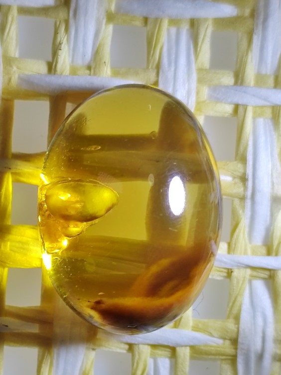 干胆蜜特色戒面名琥堂天然缅甸琥珀化石虫珀植物珀特色珀情景珀