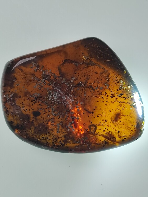 虫珀裸石名琥堂天然缅甸琥珀化石