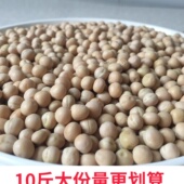 云南散装 干豌豆10斤生 新鲜干货做芽菜种子重庆小面白皮黄心大粒