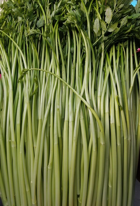 现摘现发新鲜蔬菜水芹菜小叶无节水芹农家自种3斤装包邮