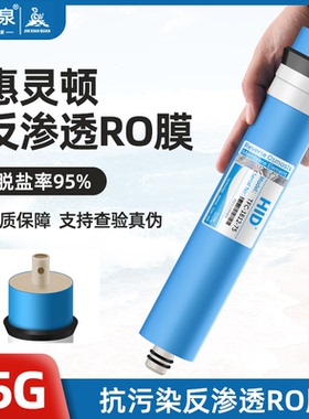 惠灵顿HID净水机家用反渗透RO膜滤芯75G净水器纯水直饮机通用配件