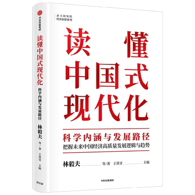 读懂中国式现代化(科学内涵与发展路径)/北大国发院经济洞察系列 林毅夫等著 黄奇帆领衔 以经济视角理解中国式现代化 中信 正版