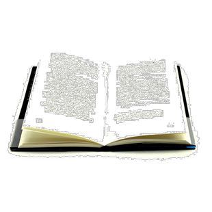 全息玫瑰碎片(精)