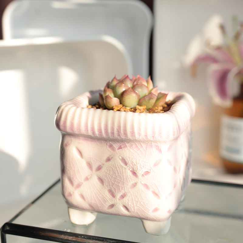 小清新简欧ins风个性创意 饼干盒多肉植物冰裂釉透气组合陶瓷花盆