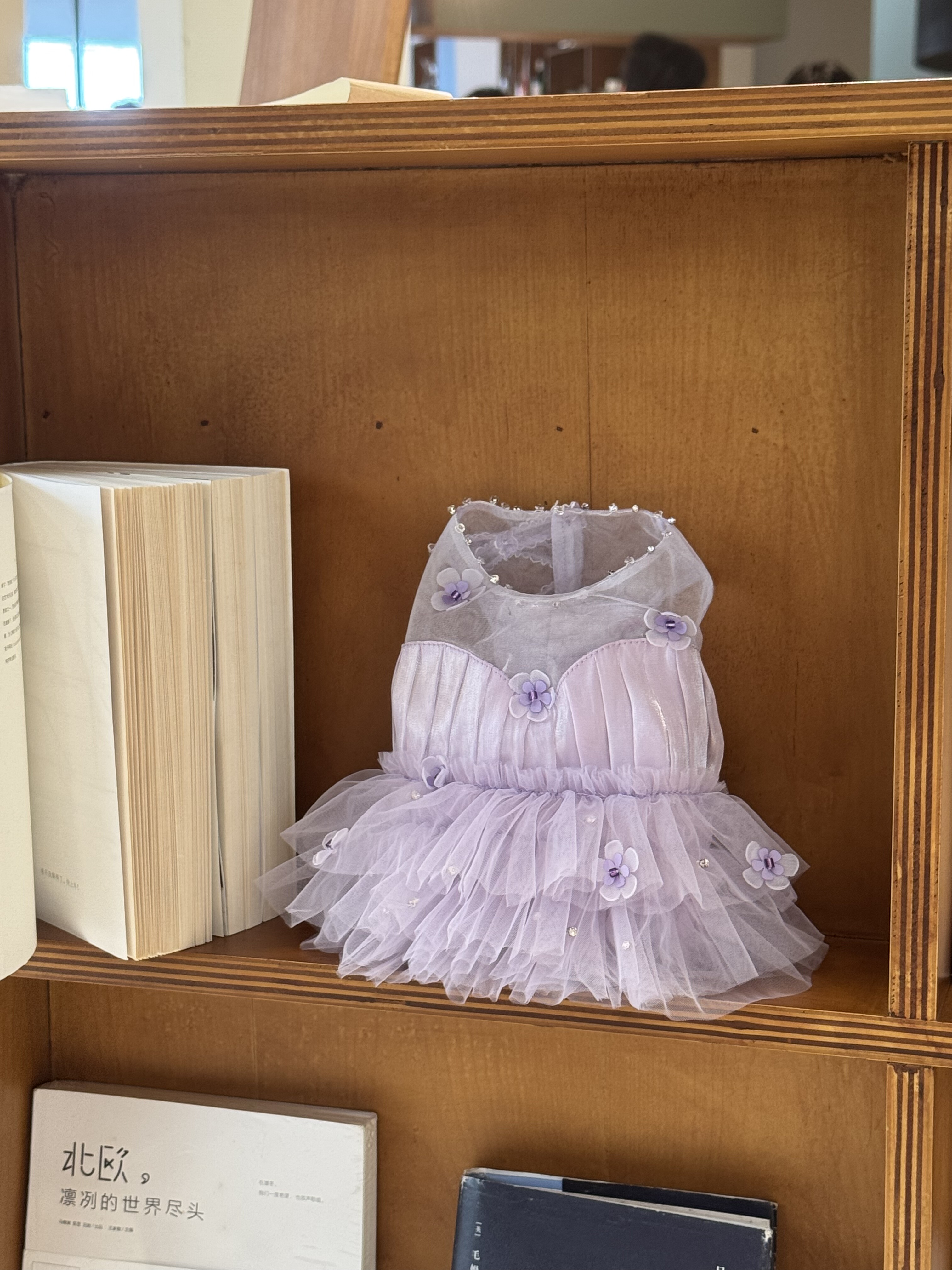 iLYPet原创设计宠物衣服蕾丝网纱公主裙