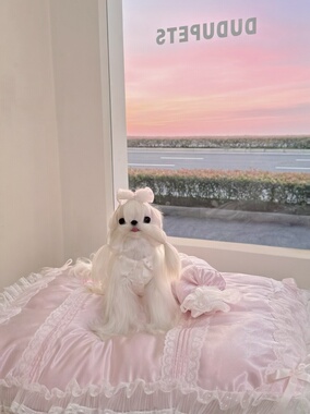 Nobopet 宠物原创窝垫缎面狗狗垫子