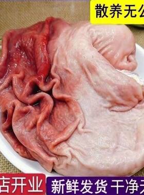 新鲜猪肚沂蒙山散养土猪猪大肚猪肚子猪下水猪胃饭店商用批发食材