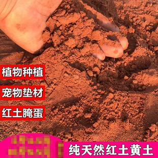 田园土红土天然红泥土黄泥土黄土红沙土黄土腌蛋红土粉盆栽营养土