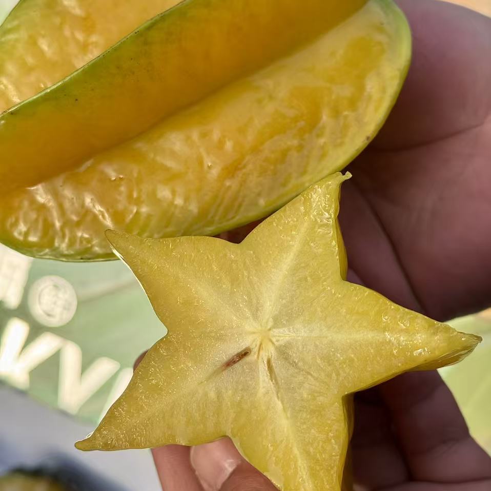 福建漳州树熟杨桃新鲜当季孕妇水果4斤礼盒顺丰北京发